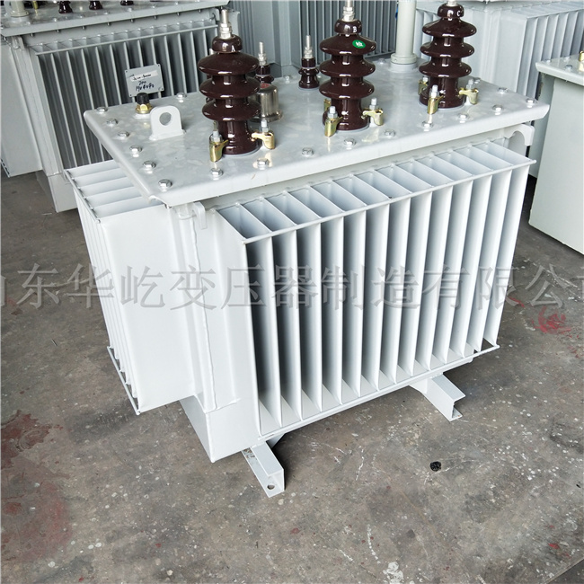 湘潭S20-1000KVA油浸式电力变压器